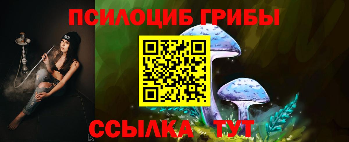 Галлюциногенные грибы ЛСД  что такое наркотик  Вход с VPN  Мелеуз  Псилоцибиновые грибы Magic Shrooms 
